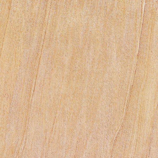 SS6613